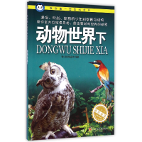 音像动物世界(下)/我的套百科全书青少科普编委会