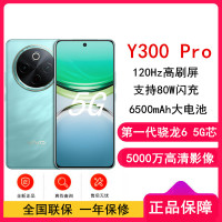 vivo Y300 Pro 金镶玉 12GB+256GB 骁龙6 5G芯 6500mAh电池 80W充电 5000万高清影像 5G 手机