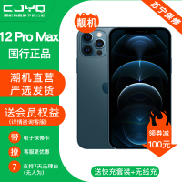 [99新]Apple iPhone 12ProMax 海蓝色 256GB 二手苹果12PM 全网通5G 国行正品 手机