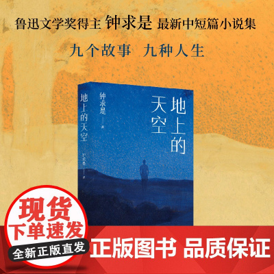 地上的天空(鲁迅文学奖得主钟求是ZUI新中短篇小说集,人生九故事,程永新、徐则臣、班宇)