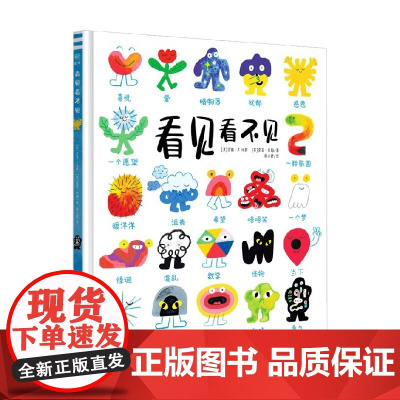 看见看不见 安迪·J.比萨绘本 适合11-14岁儿童 精装版