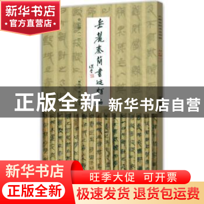正版 岳麓秦简书迹类编-亡律(一) 陈松长 谢计康 河南美术出版社