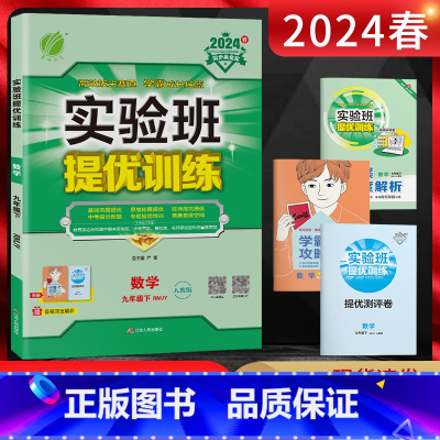 数学 九年级下 [正版]2024春实验班提优训练九年级下册数学人教版RMJY强化版 9年级课时作业本九年级下数学同步训练