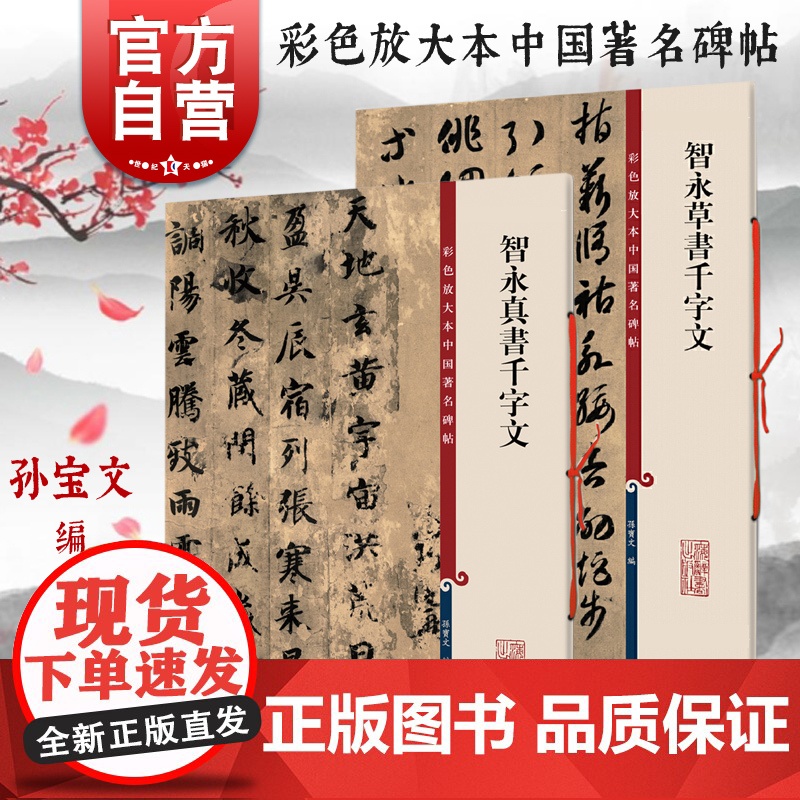 智永真书千字文/智永草书千字文 彩色放大本中国著名碑帖孙宝文编繁体旁注上海辞书出版社书法篆刻毛笔字高清名家墨迹临摹字帖