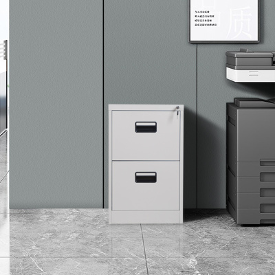 臻远 ZY-KLG-04 卡箱挂劳柜 二斗灰白色黑扣手 460*620*73