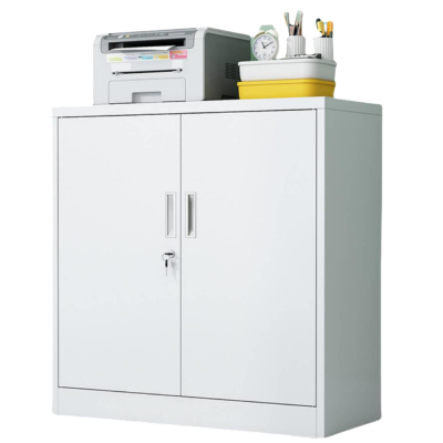 广顺泰 加厚铁制资料柜 二门矮文件柜 BG-983 850*390*900mm 个