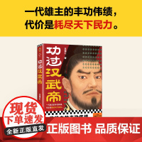 功过汉武帝 王觉仁 著 历史