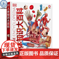 DK人体知识大百科 精装大开本正版 中小学生 关于我们的身体的百科全书 3D解剖大图揭秘身体各个构造科普类书籍