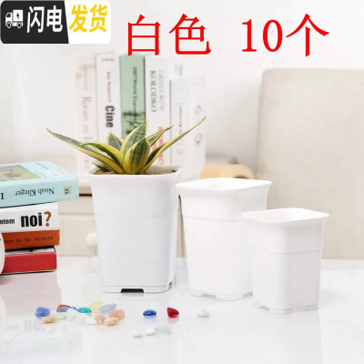 三维工匠高腰特加厚万象酢浆盆小大方多肉家庭园艺植物塑料磨砂浅花盆 白色高腰盆10个 口径8.8cm无底托花盆容器