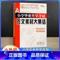 作文素材大集结 小学升初中 [正版]2023新小学毕业升学夺冠大集结古诗文字词句训练成语名著文学常识作文素材新阅读训练小