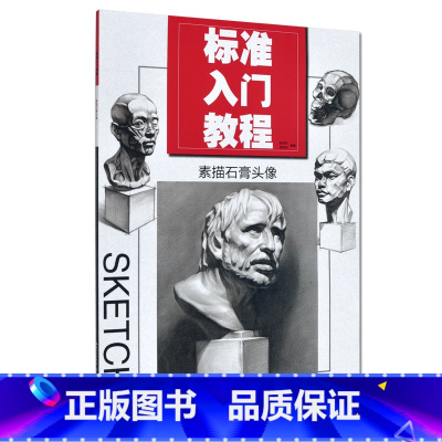 [正版]书店标准入门教程 素描石膏头像 彭明华/周鸿芳编著 美术学生青少年成人零基础初学者自学绘画方法技巧教程学画画图书