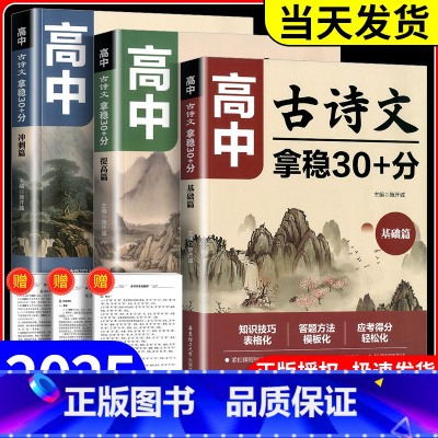 高中古诗文 拿稳30+分 冲刺篇 高中通用 [正版]2025新版高中古诗文拿稳30+分基础篇高中语文文言文知识技巧答题方