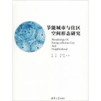 正版新书]节能城市与住区空间形态研究张杰9787302510666