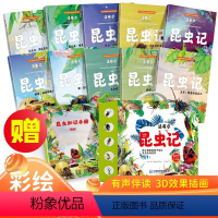 [礼盒装注音版]昆虫记全套10册+礼盒十万个小问号10册 [正版]全套10册法布尔昆虫记三年级必读的注音版拼音彩图美绘原