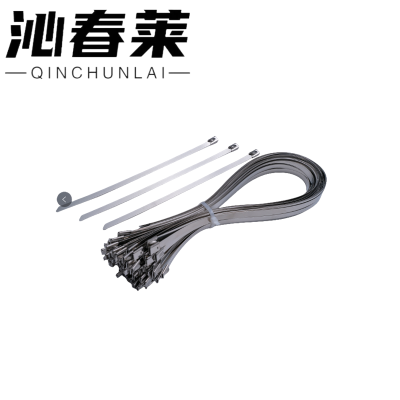 沁春莱不锈钢扎带4.6*300-100/包