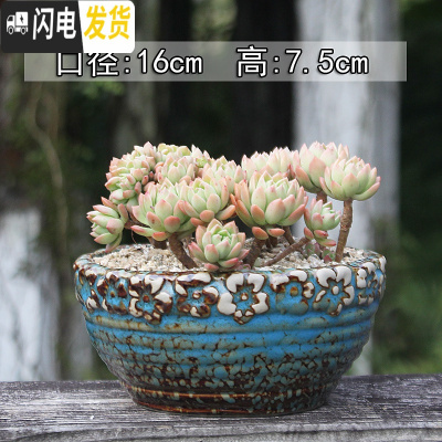 三维工匠多肉花盆大号陶瓷创意简约绿植复古粗陶陶罐植物组合盆栽透气 咖啡色金平蓝(有孔) 大花盆容器