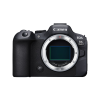 佳能(Canon)EOS R6 Mark II 新标准全画幅微单数码相机R62 单机身 海外版