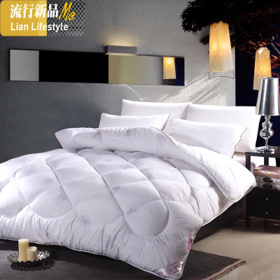 被子冬被加厚保暖双人冬季10斤丝棉太空被学生宿舍单人春秋棉被芯 三维工匠