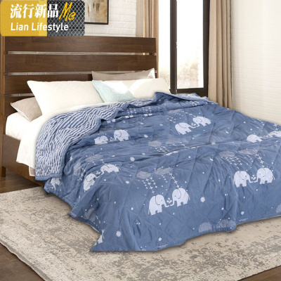 夏季空调被夏凉被薄款双人可水洗夏天薄被子宿舍单人学生春秋被芯 三维工匠