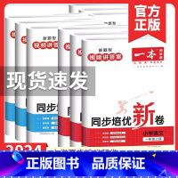 语文+数学 人教版 二年级上 [正版]2024版一本同步培优新卷数学一年级二年级三年级四年级五年级六年级上册数学语文人教