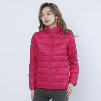 女式简约羽绒纯色女立领女装轻薄款羽绒服女士加大码_745402