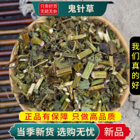 鬼针草100克正品干货新货鬼针草白花三叶鬼针草虾钳草9260