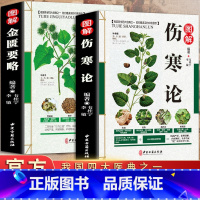 [正版]伤寒论+金匮要略 张仲景 共两本 中医临床丛书伤寒论杂病论中医四大经典名著自学入门古籍医学书中医基础理论知识