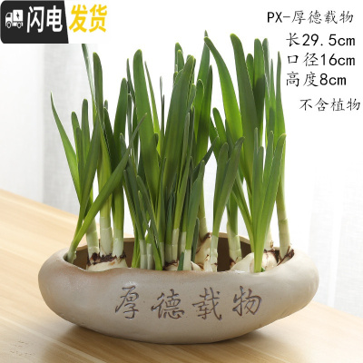 三维工匠水仙花盆铜钱水培花盆水养仿石头盆景碗莲睡莲个性创意陶瓷无孔 其他颜色PX-厚德载物 大花盆容器