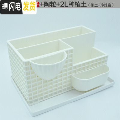 三维工匠创意个性多肉盆北欧风多肉植物花盆肉肉盆树脂塑料长方形大号 花盆+托盘+珍珠岩陶粒椰土 大花盆容器
