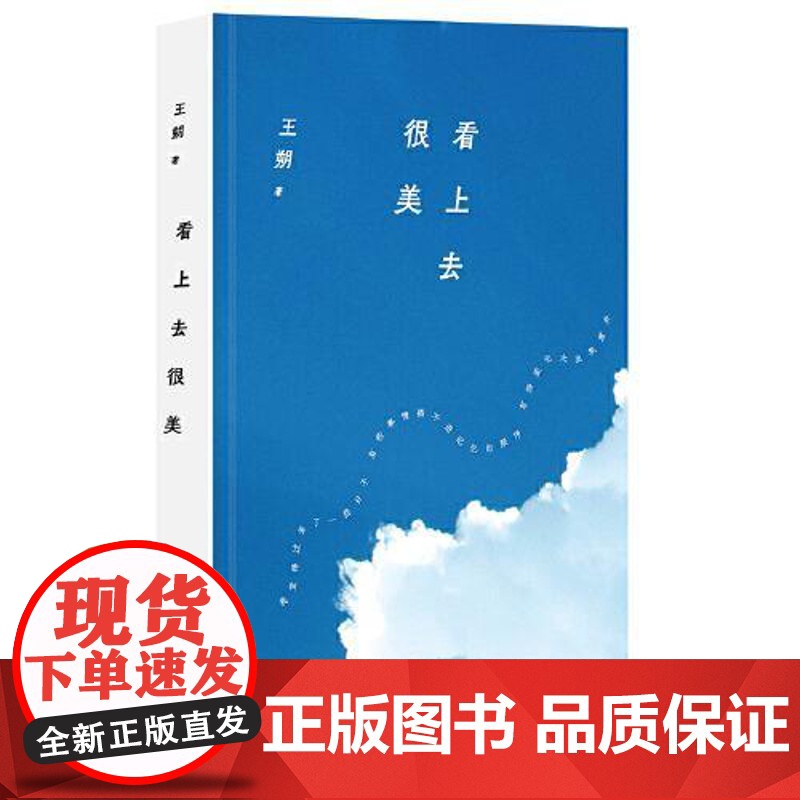 王朔:看上去很美(2024年平装) 北京十月文艺出版社