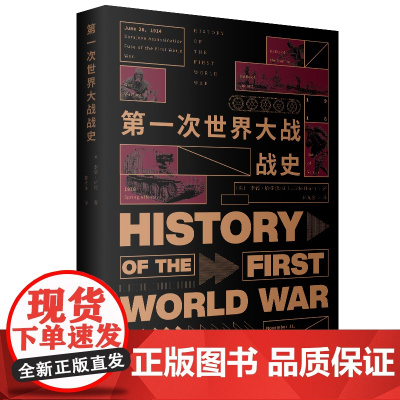 第一次世界大战战史 一战历史史料一战战史研究历史文化经典译丛 世界战争史军事中外战争历史正版图书籍 上海人民出版社 世纪