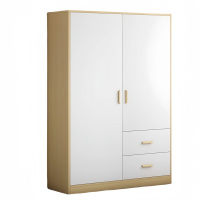 悦兴诚两门衣柜 100*40*180cm台