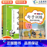 共2本》口算+看拼音写词语 二年级上 [正版]2024版句子训练一年级二年级三年级上册下册语文专项训练人教版同步训练修改