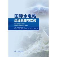 正版新书]国际水电站运维战略与实务r15姜付仁于书萍王振红孙高