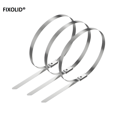FIXOLID 不锈钢扎带 8*800mm 根