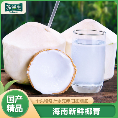 [苏鲜生]海南椰青 4个装 新鲜椰子 当季热带水果 汁水充沛