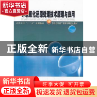 正版 环境氧化还原处理技术原理与应用 施悦,李宁,李永峰主编