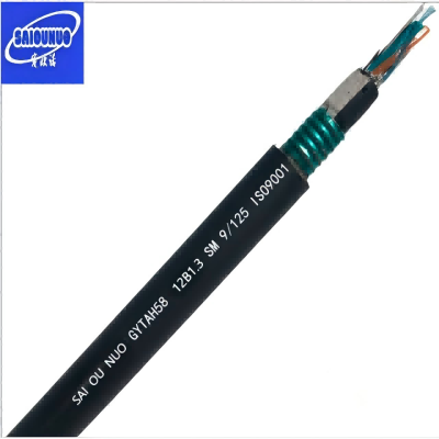 赛欧诺 铠装阻燃光缆 GYTAH58-12B1.3 米