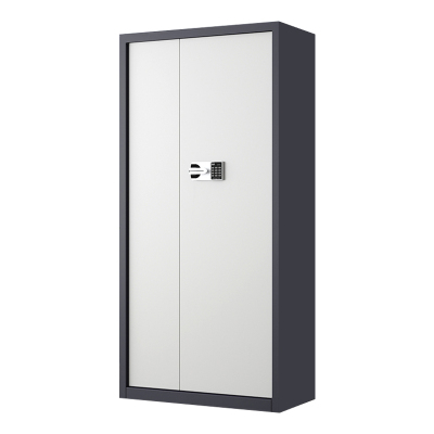 帅畅指纹电子保密柜钢制密码文件柜档案柜矮柜资料柜办公柜通门灰白色:国保密码锁