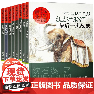 沈石溪动物小说全集正版套装画本第一辑8册的书大全系列儿童文学 最后一头战象小学生四五六年级课外阅读书籍必读经典书目斑羚飞