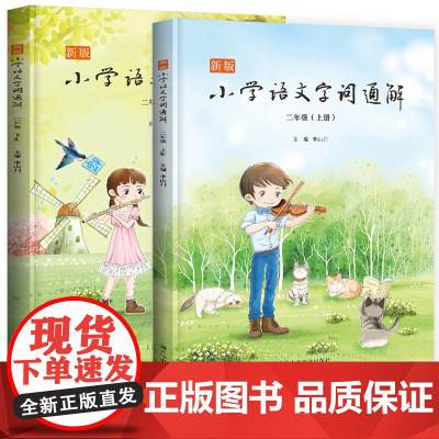 二年级语文专项训练字词通解人教版 小学2年级上册下册一年级二三年级同步练习册词语解析汉字拓展强化练习题词语积累汉字文化百