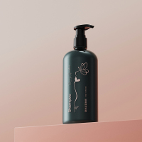 创漾(CHUANGYANG) CN3002 (溪畔听风) 四季物语臻萃氨基酸洗发露500ml(单位:瓶)