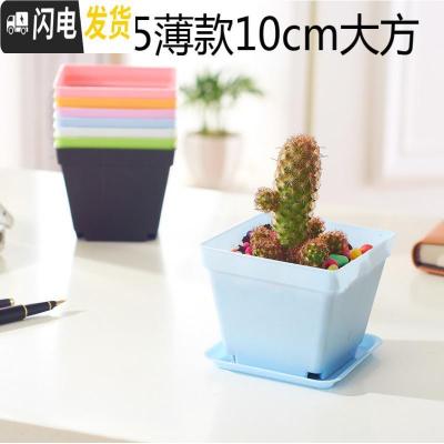 三维工匠小黑方小方大黑方大彩方多肉植物塑料花盆叶插育苗配搭托盘 10cm混色60个 单独盆不含底托花盆容器