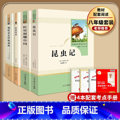 [八年级全套4本]昆虫记+红星+钢铁+经典常谈(赠4本考点手册) 初中通用 [正版]易蓓红星照耀中国和昆虫记原著人民教育