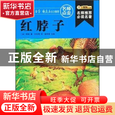 正版 红脖子 (加)西顿著 黑龙江美术出版社 9787531856030 书籍