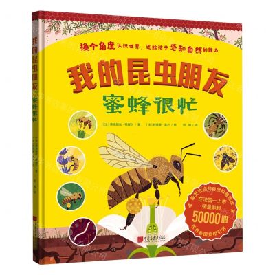 [N]蜜蜂很忙(精)/我的昆虫朋友-9787514622874