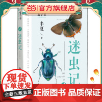 虫子书——迷虫记