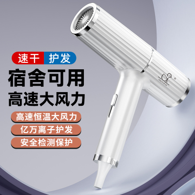 长筒吹风机宿舍学生家用电吹风家用速干护发大风力负离子风筒