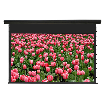 经科JK电动遥控拉线投影幕布H3-FL/2t拉绳正投软幕200寸16:9