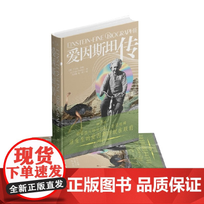 爱因斯坦传 2023版 于尔根·奈佛 著 传记